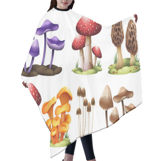 Personality  Different Types Of Mushrooms Hair Cutting Cape