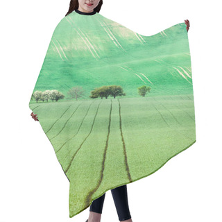 Personality  Blossoming Trees On Wavy Rolling Textured Rural Fields Backgroun Hair Cutting Cape