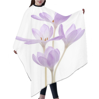 Personality  Colchicum Flowers Hair Cutting Cape