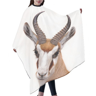 Personality  Springbok Isolated On White Hair Cutting Cape
