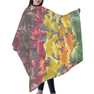 Personality  Top View Of Autumnal Different Maple Leaves On Wooden Surface Hair Cutting Cape