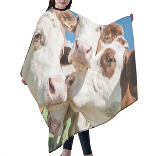 Personality  Cow Faces Hair Cutting Cape