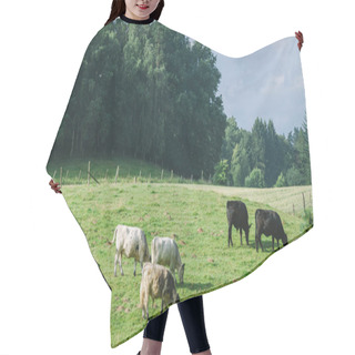 Personality  Cows Hair Cutting Cape