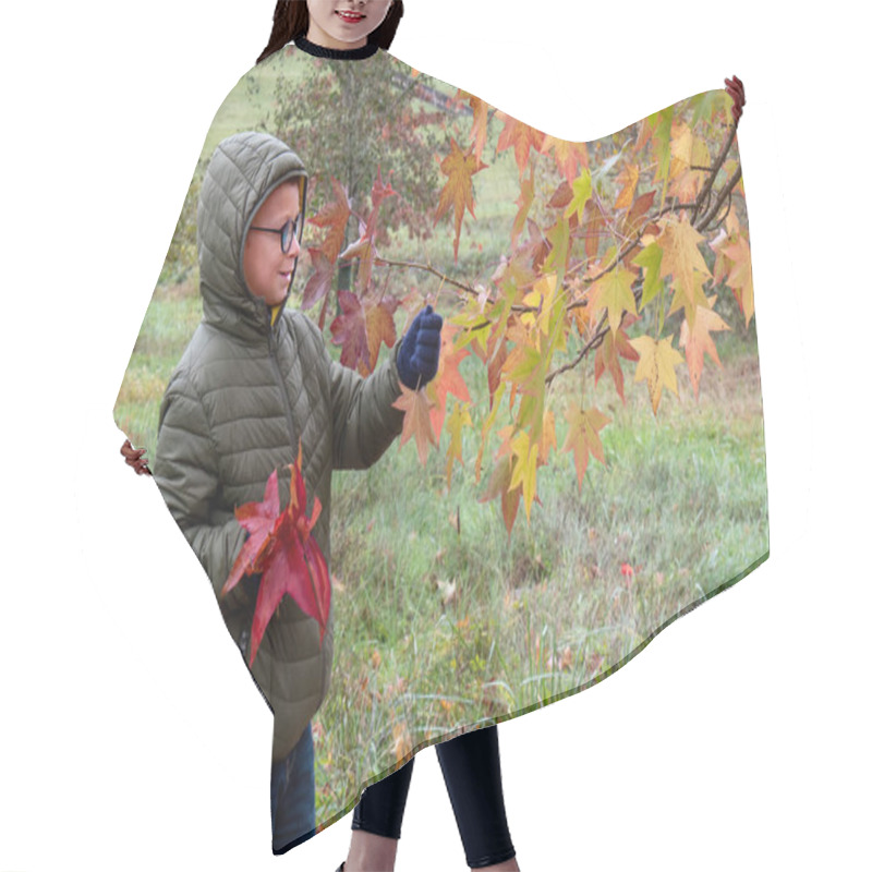 Personality  little boy with autumn leaves in the park.  hair cutting cape