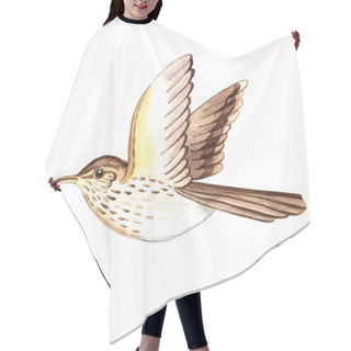 Personality  Watercolor Songthrush Hair Cutting Cape