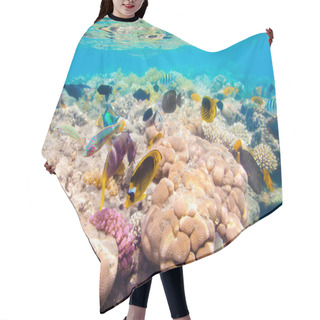 Personality  Tropical Coral Reef. Red Sea Hair Cutting Cape