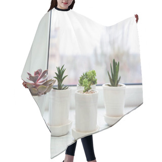 Personality  Pots With Beautiful Succulents Hair Cutting Cape