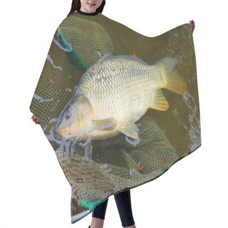 Personality  Fishing Catch, The Common Carp Hair Cutting Cape