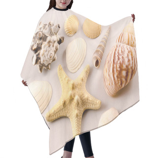 Personality  Verschiedene Muscheln Auf Grauem Hintergrund, Different Mussels At A Grey Backround Hair Cutting Cape