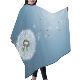 Personality  Dandelion On Blue Background Hair Cutting Cape