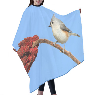 Personality  Bird On A Branch Hair Cutting Cape