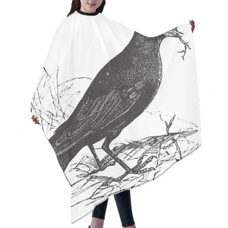 Personality  Jackdaw Or Corvus Monedula Vintage Engraving Hair Cutting Cape