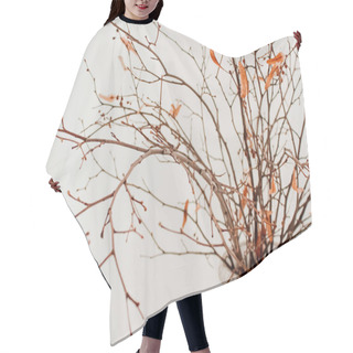 Personality  Branches With Orange Leaves In A White Vase On A White Background. Autumn Theme Hair Cutting Cape