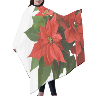 Personality  Red Poinsettia Hair Cutting Cape