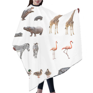Personality  Zoo Animals Hair Cutting Cape