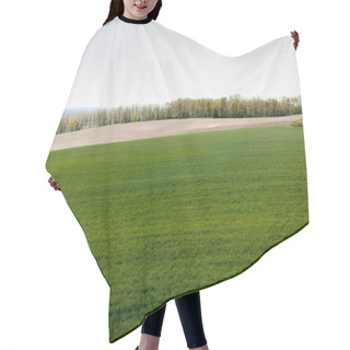 Personality  Fresh And Green Grassy Field Near Trees  Hair Cutting Cape