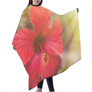 Personality  Red Hibiscus Flower In The Sunshine Hair Cutting Cape