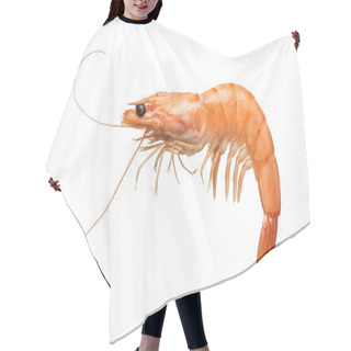 Personality  Tiger Shrimp Isolated On White Hair Cutting Cape