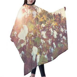 Personality  Cotton Field At Sunrise Hair Cutting Cape