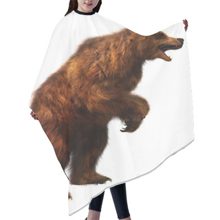 Personality  3D Rendering Of A Brown Bear Isolated On White Background Hair Cutting Cape