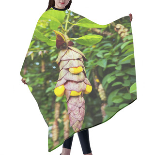 Personality  Wild Hanging Vinery Gmelina Philippensis Charm Flowers. Hair Cutting Cape