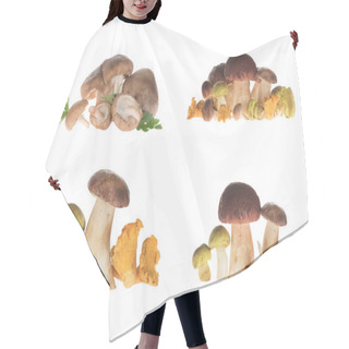 Personality  Different Types Of Mushrooms Hair Cutting Cape