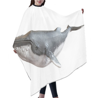 Personality  Humpback Whale On An Isolated White Background.  Hair Cutting Cape