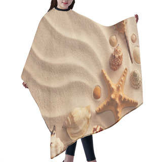 Personality  Sea Shells With Sand Hair Cutting Cape