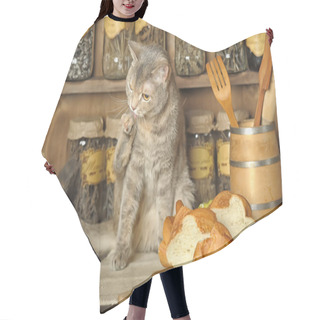 Personality  Tabby Cat Sitting On A Table In A Vintage Kitchen Hair Cutting Cape