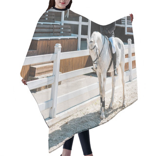 Personality  Cropped Image Of Male Equestrian Riding Horse At Horse Club Hair Cutting Cape