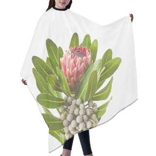 Personality  Close-up View Of Beautiful Exotic Protea Flower With Green Leaves Isolated On Grey Hair Cutting Cape
