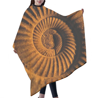 Personality  Antique Snail Shell Close-up Hair Cutting Cape