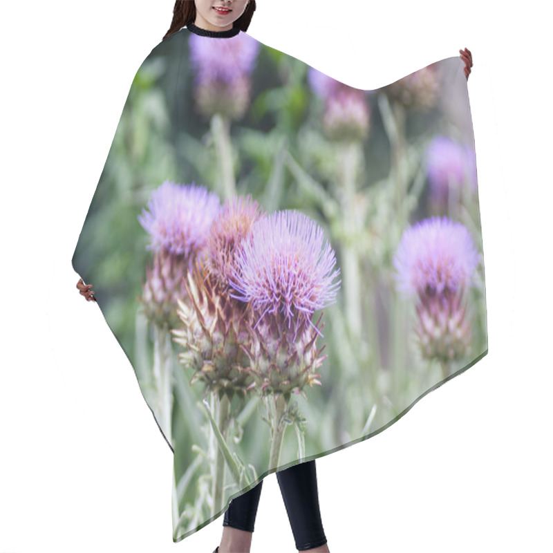 Personality  Thistle flower hair cutting cape