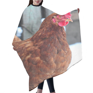 Personality  Hen On A Barnyard Hair Cutting Cape