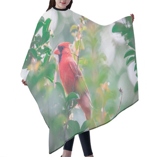 Personality  Cardinal Birds Hanging Out On A Tree Hair Cutting Cape