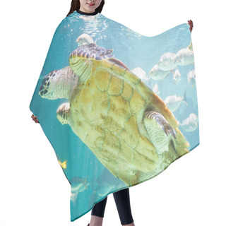 Personality  Hawksbill Sea Turtle Hair Cutting Cape