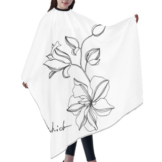 Personality  Vector Orchid Floral Botanical Flowers. Black And White Engraved Ink Art. Isolated Orchids Illustration Element. Hair Cutting Cape