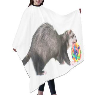 Personality  Ferret In Studio Hair Cutting Cape