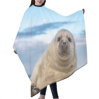 Personality  Young Puppy Seal Hair Cutting Cape