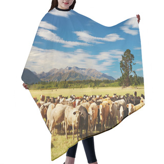 Personality  Grazing Cows Hair Cutting Cape