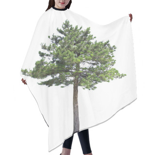 Personality  Pine Tree Hair Cutting Cape
