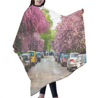 Personality  Streets Of Uzhgorod In Cherry Blossom Hair Cutting Cape