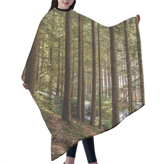 Personality  Snow On Hill In Coniferous Forest In Spring  Hair Cutting Cape