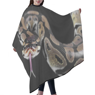 Personality  Python Snake Portrait Hair Cutting Cape
