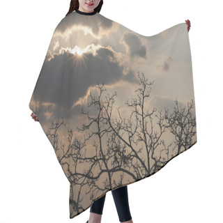 Personality  Radiant Sun, Heavy Clouds, Tree Hair Cutting Cape