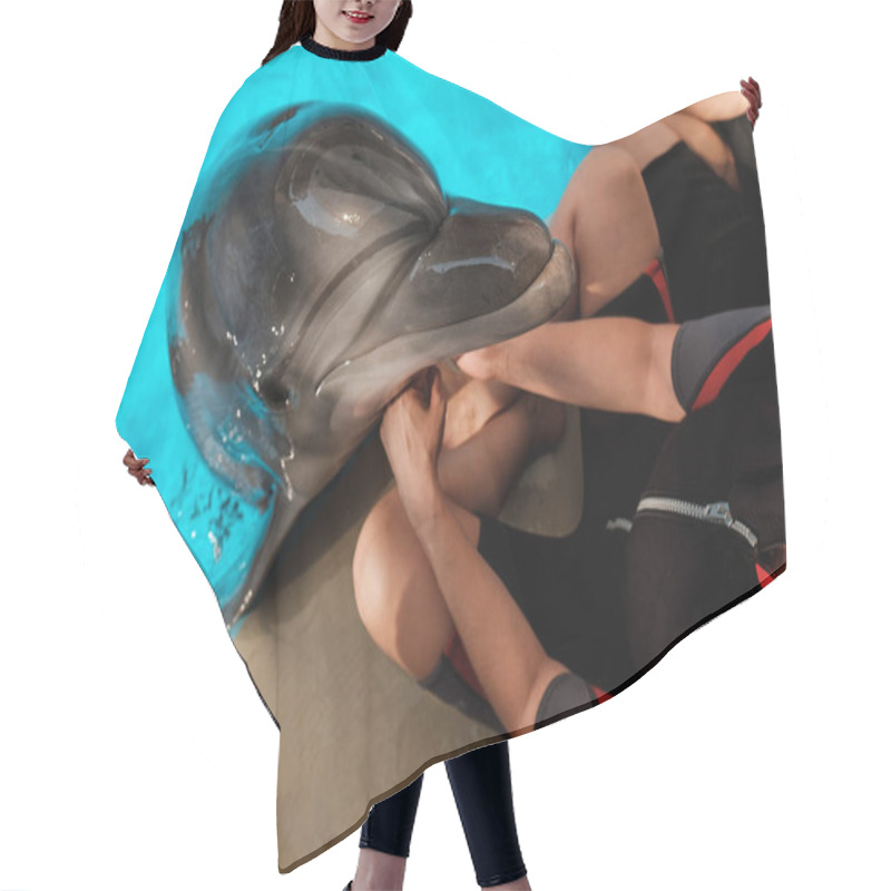 Personality  Bottlenose Dolphin Embracing  With Man Sitting On The Beach.  Dolphin Assisted Therapy Hair Cutting Cape