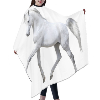 Personality  White Horse Isolated Hair Cutting Cape
