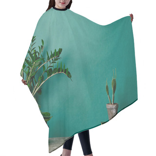 Personality  Various Plants In Pots And Books On Green Background Hair Cutting Cape
