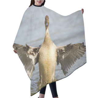 Personality  Northern Pintail (Anas Acuta) Hair Cutting Cape