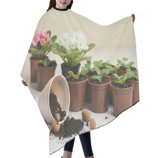 Personality  Table With Flower Pots, Potting Soil And Plants Hair Cutting Cape